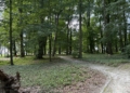 Park i pałac w Lisowicach
