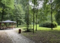 Park i pałac w Lisowicach