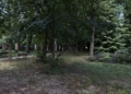 Park i pałac w Lisowicach