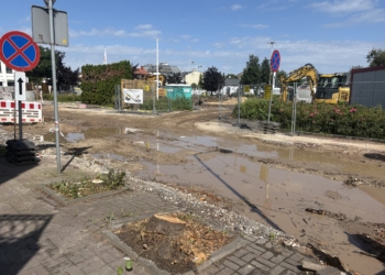 Wycinka drzew przy zazielenianym placu w Konstantynowie Łódzkim. Mieszkańcy pytają: po co je usunięto? [ZDJĘCIA]