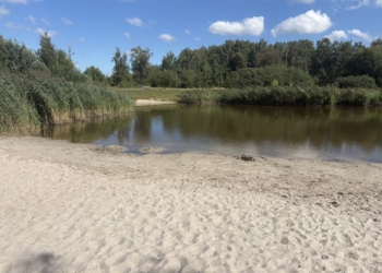 Stawy na Retkini wysychają. Mieszkańcy martwią się o ulubione miejsca wypoczynku [ZDJĘCIA]