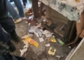 Łódź: 5 psów, 2 koty i krab w wśród odchodów i larw. Interweniowała policja