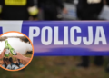 Alkohol nad wodą wciąż poważnym zagrożeniem. Służby apelują o rozwagę