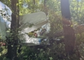 Samolot rozbił się w lesie niedaleko lądowiska. Pilot w szpitalu [ZDJĘCIA]