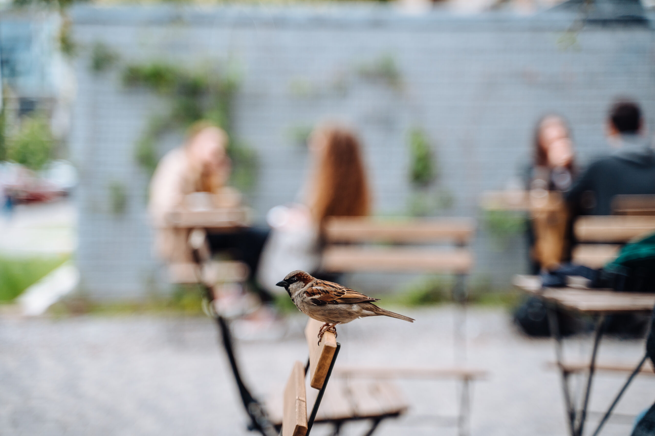 Burzowa sobota, pogodna niedziela. Tak zapowiada się weekend w Łódzkiem [PROGNOZA]