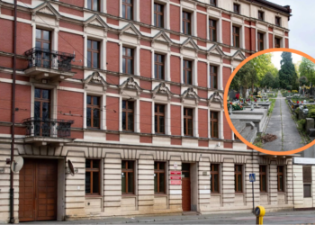 Ludzkie kości znalezione na cmentarzu przy ul. Ogrodowej w Łodzi. Sprawą zajmuje się prokuratura