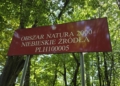 Niebieskie Źródła w Tomaszowie Mazowieckim | Podróżowanie z radiem 4 Niebieskie Źródła w Tomaszowie Mazowieckim