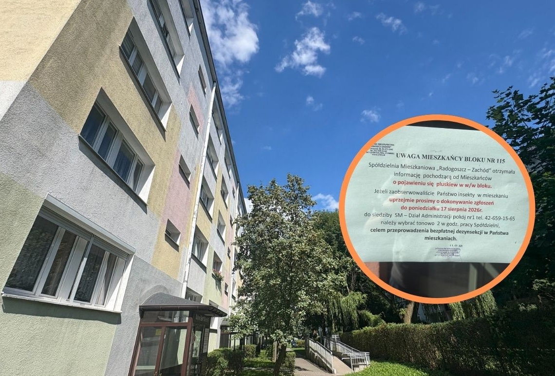 Pluskwy na łódzkim Radogoszczu. Co na to spółdzielnia? 1 Pluskwy na łódzkim Radogoszczu. Co na to spółdzielnia?