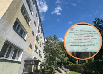Pluskwy na łódzkim Radogoszczu. Co na to spółdzielnia?