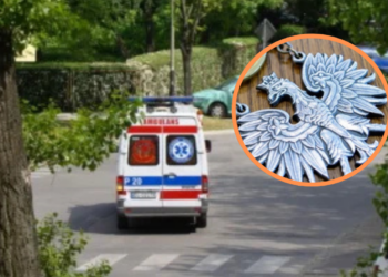 Skazany w aferze „łowców skór” nie wyjdzie przedterminowo na wolność