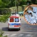 Skazany w aferze „łowców skór” nie wyjdzie przedterminowo na wolność 7 Skazany w aferze „łowców skór” nie wyjdzie przedterminowo na wolność