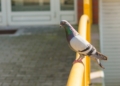 Więcej słońca i do 23°C. Taka pogoda we wtorek w Łódzkiem/fot. magnific.com