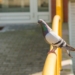 Więcej słońca i do 23°C. Taka pogoda we wtorek w Łódzkiem/fot. magnific.com