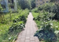 Zarośnięte chodniki na Dołach. Mieszkańcy skarżą się na utrudnienia [ZDJĘCIA]