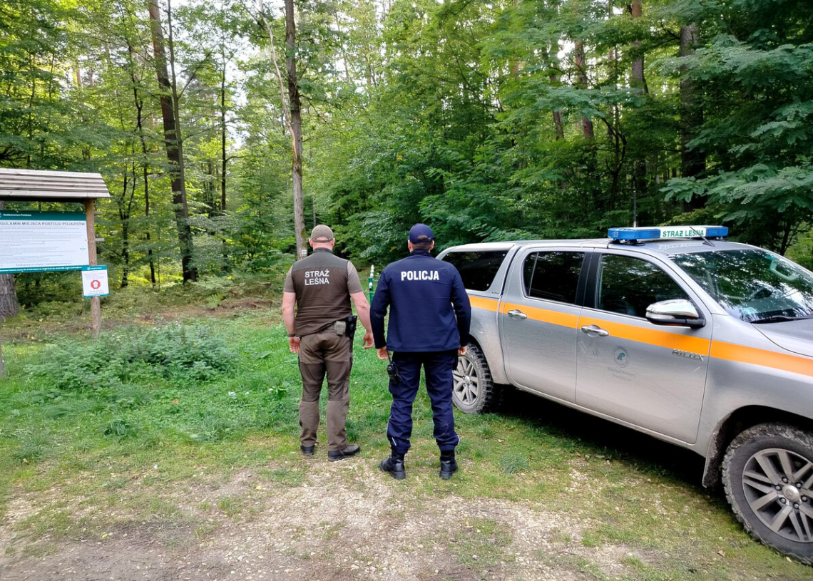 Policja i straż leśna kontrolują lasy. Na te wykroczenia zwracają szczególną uwagę 1 Policja i straż leśna kontrolują lasy. Na te wykroczenia zwracają szczególną uwagę