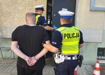 Ukradł alkohol, a wcześniej prowadził z 2,7 promila. 48-latek wpadł w Pabianicach