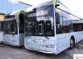 Pierwsze w pełni elektryczne autobusy wyjechały na ulice Radomska