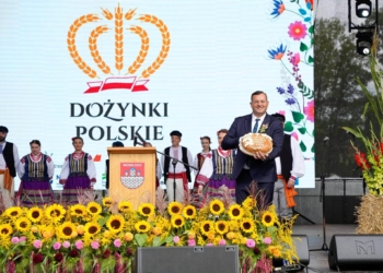 Problem z eksportem polskich ziemniaków. Minister zapowiada działania