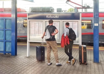 Utrudnienia na kolei w Łódzkiem. Uruchomiono komunikację zastępczą
