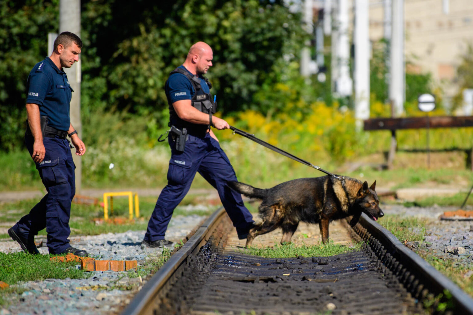 Ćwiczenia policji z PKP fot Sebastian Szwajkowski_20 Cwiczenia policji z PKP fot Sebastian Szwajkowski 20
