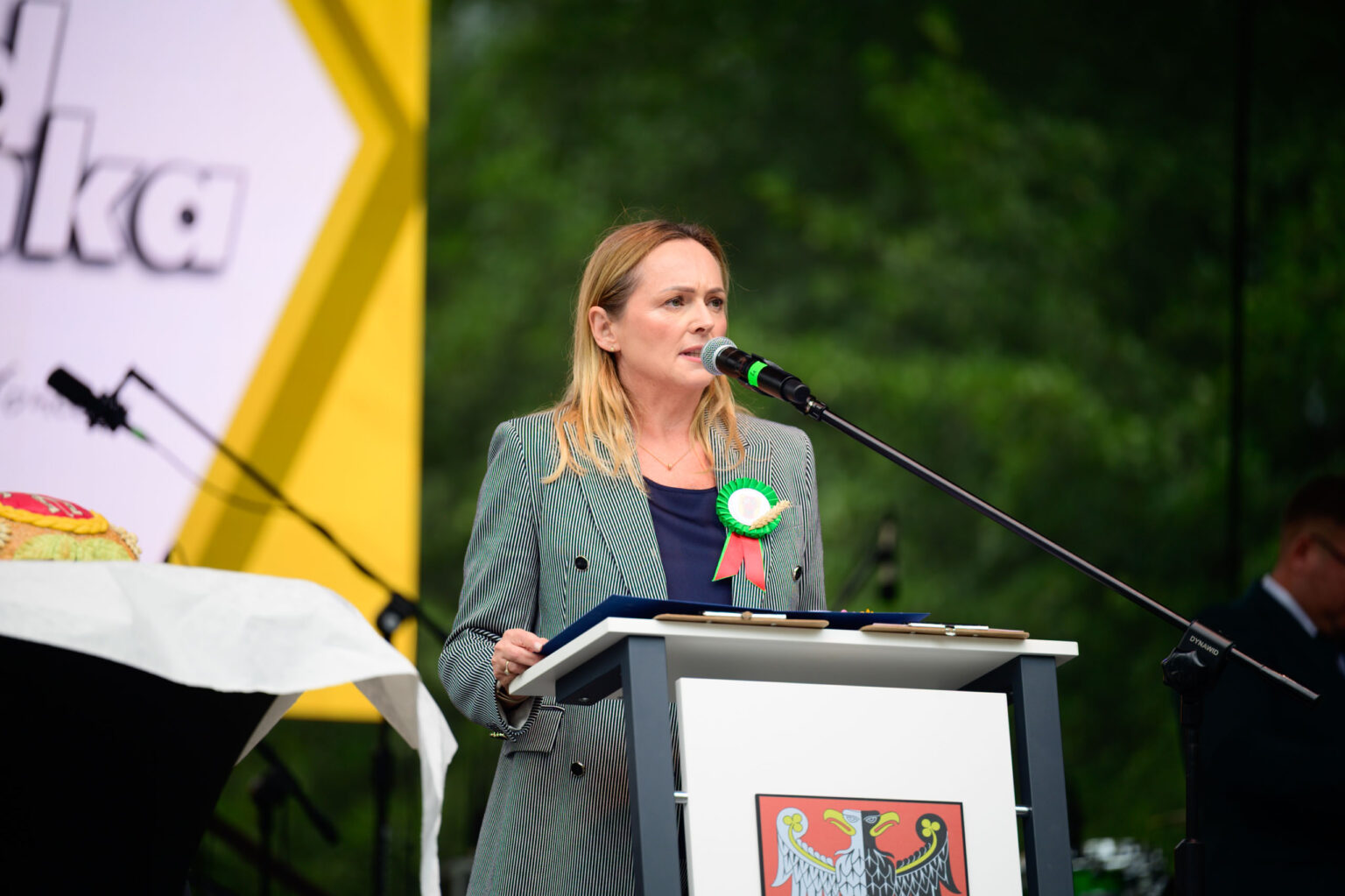 Dozynki Wojewodzkie w Brzezinach z Radiem Lodz fot Sebastian Szwajkowski 34
