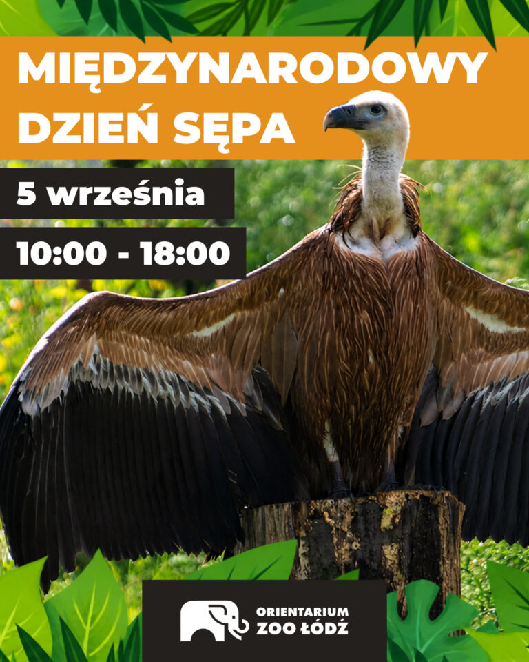 Zwiesz się zwierz. Nie taki sęp straszny, jak go malują