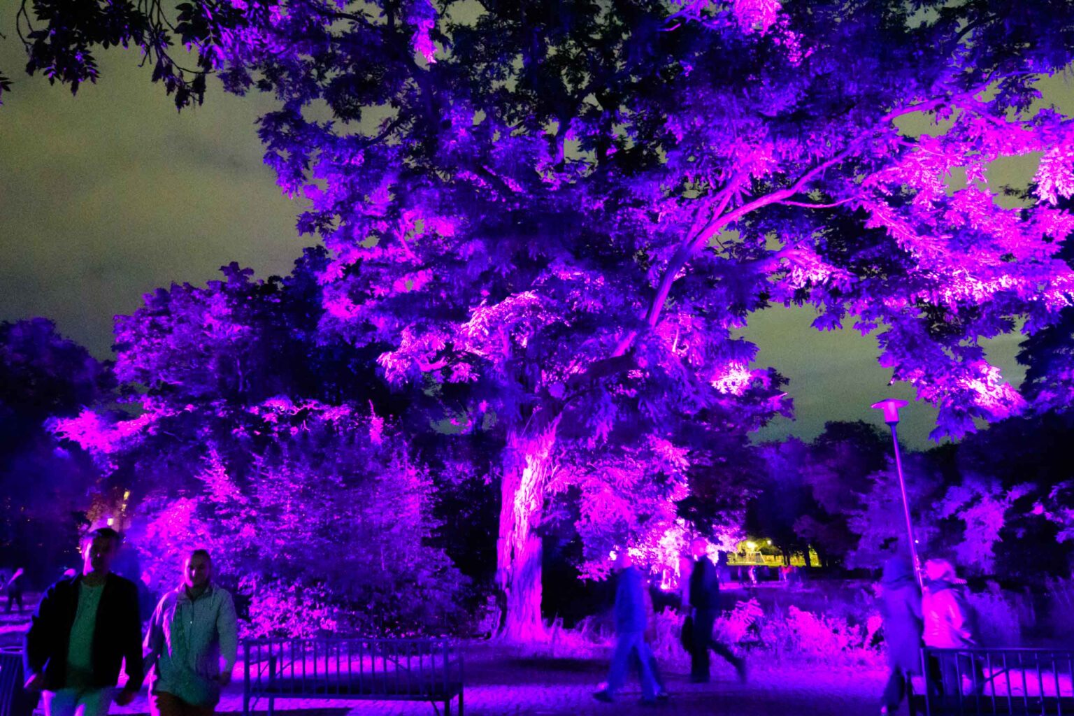 Festiwal Swiatla 2026 Palac Poznanskiego i Park Staromiejski fot Sebastian Szwajkowski 12