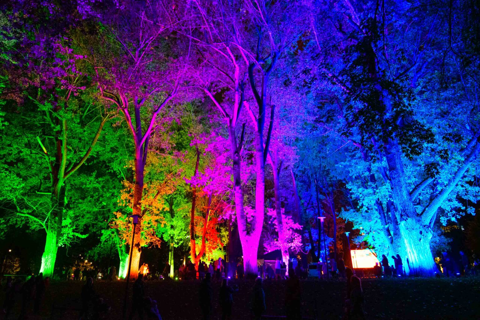 Festiwal Swiatla 2026 Palac Poznanskiego i Park Staromiejski fot Sebastian Szwajkowski 9
