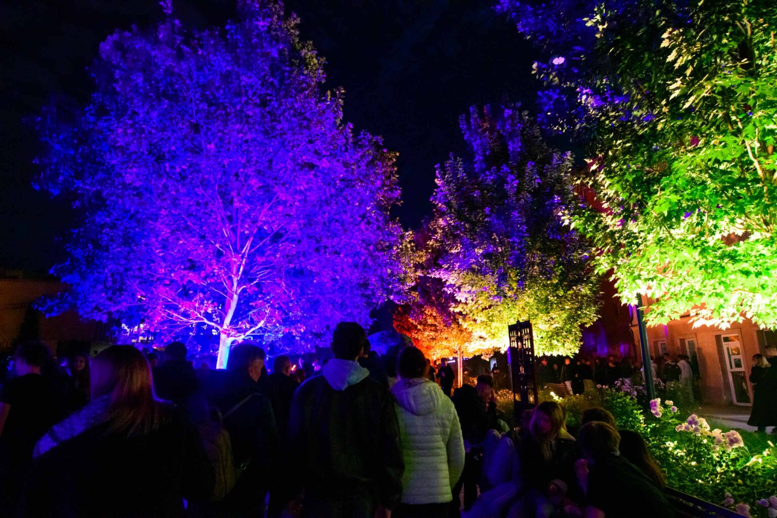 Festiwal Swiatla 2026 Piotrkowska i Pasaz Schillera fot Sebastian Szwajkowski 2