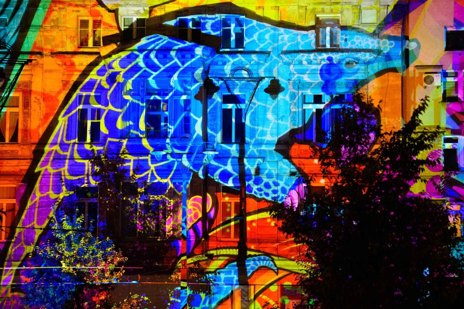 Festiwal Swiatla 2026 Plac Wolnosci i Piotrkowska fot Sebastian Szwajkowski 17