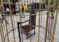 Teatr Wielki w Łodzi inauguruje jubileuszowy sezon. Rodzinny piknik przed teatrem [ZDJĘCIA]