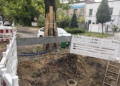 Remont Franciszkańskiej w Łodzi. Korzenie drzew uszkodzone podczas prac 2 Remont Franciszkańskiej w Łodzi. Korzenie drzew uszkodzone podczas prac