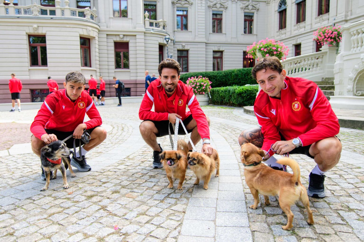 Kalendarz charytatywny Widzewa Łódx i łódzkiego schroniska fot Sebastian Szwajkowski Kalendarz charytatywny Widzewa Lodx i lodzkiego schroniska fot Sebastian Szwajkowski