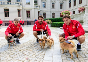 Piłkarze Widzewa pozowali ze zwierzętami ze schroniska. Powstanie charytatywny kalendarz [ZDJĘCIA]