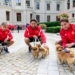 Piłkarze Widzewa pozowali ze zwierzętami ze schroniska. Powstanie charytatywny kalendarz [ZDJĘCIA]