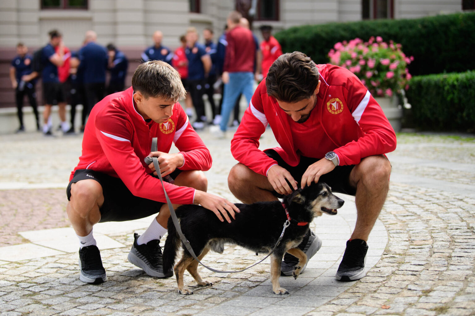 Kalendarz charytatywny Widzewa Lodx i lodzkiego schroniska fot Sebastian Szwajkowski 13