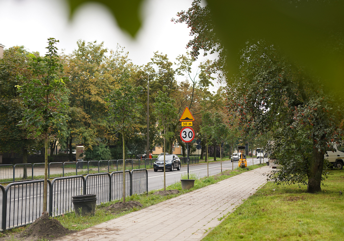 W Łodzi przybywa drzew. Trwają jesienne nasadzenia [ZDJĘCIA]