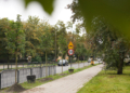 W Łodzi przybywa drzew. Trwają jesienne nasadzenia [ZDJĘCIA]
