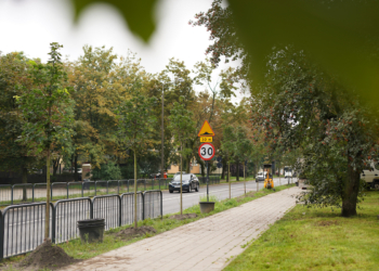 W Łodzi przybywa drzew. Trwają jesienne nasadzenia [ZDJĘCIA]