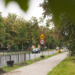 W Łodzi przybywa drzew. Trwają jesienne nasadzenia [ZDJĘCIA]