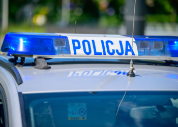Wyrzuciła małe kotki przez balkon