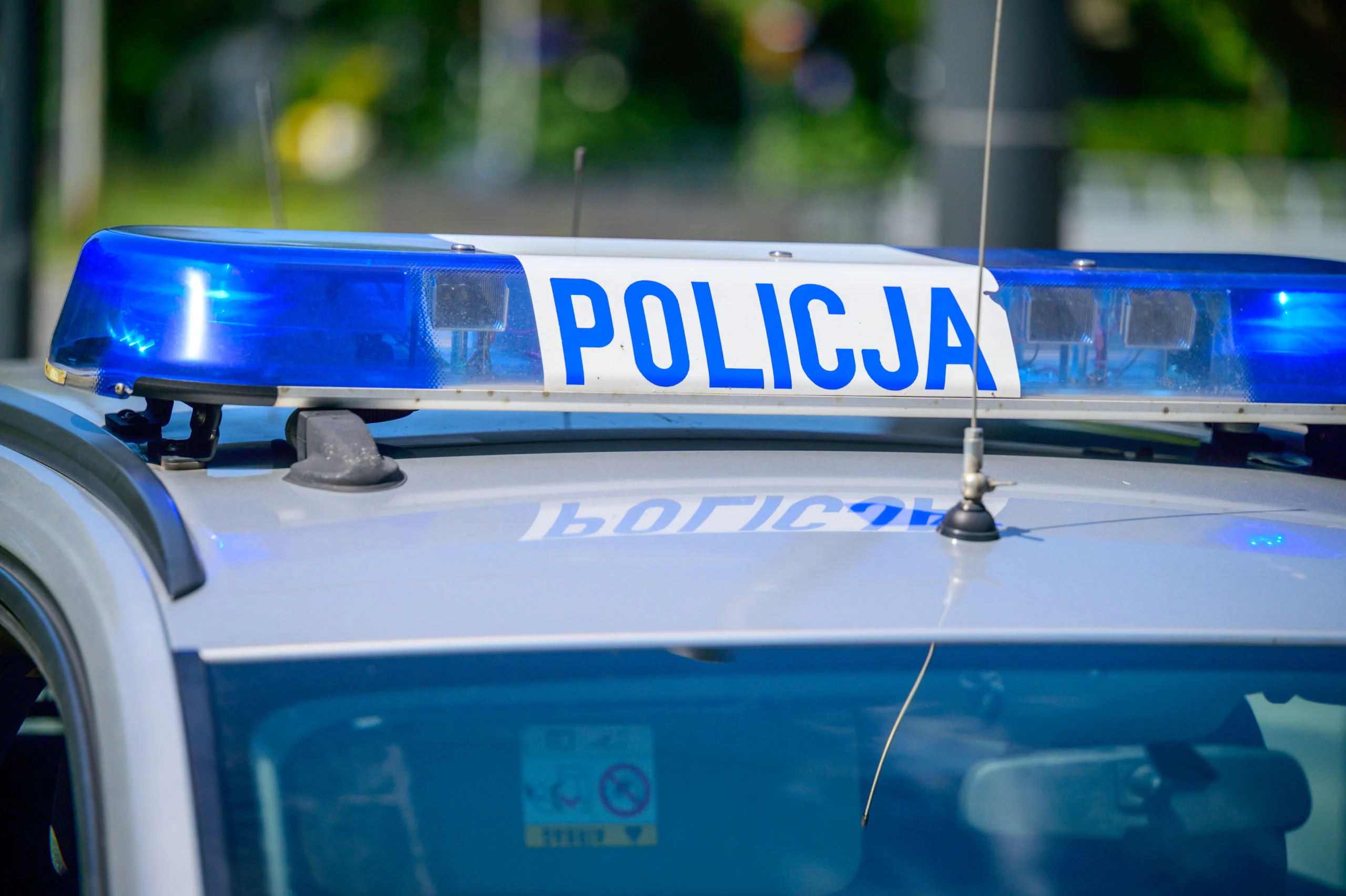 Wyrzuciła małe kotki przez balkon