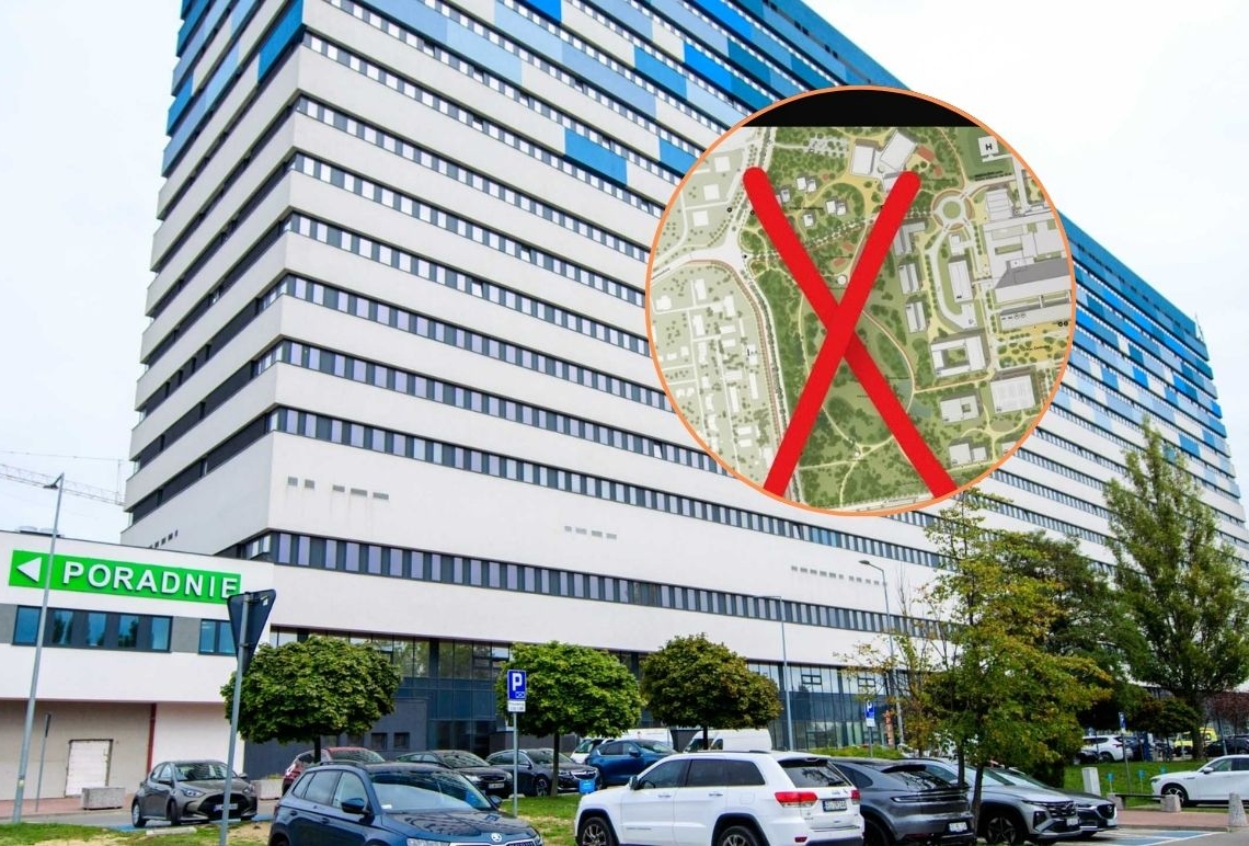 Zielony Kampus tylko z nazwy? Aktywiści alarmują: 20 ha lasu pod topór