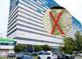 Zielony Kampus tylko z nazwy? Aktywiści alarmują: 20 ha lasu pod topór