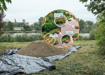 Zielona plaża powstaje na Widzewie