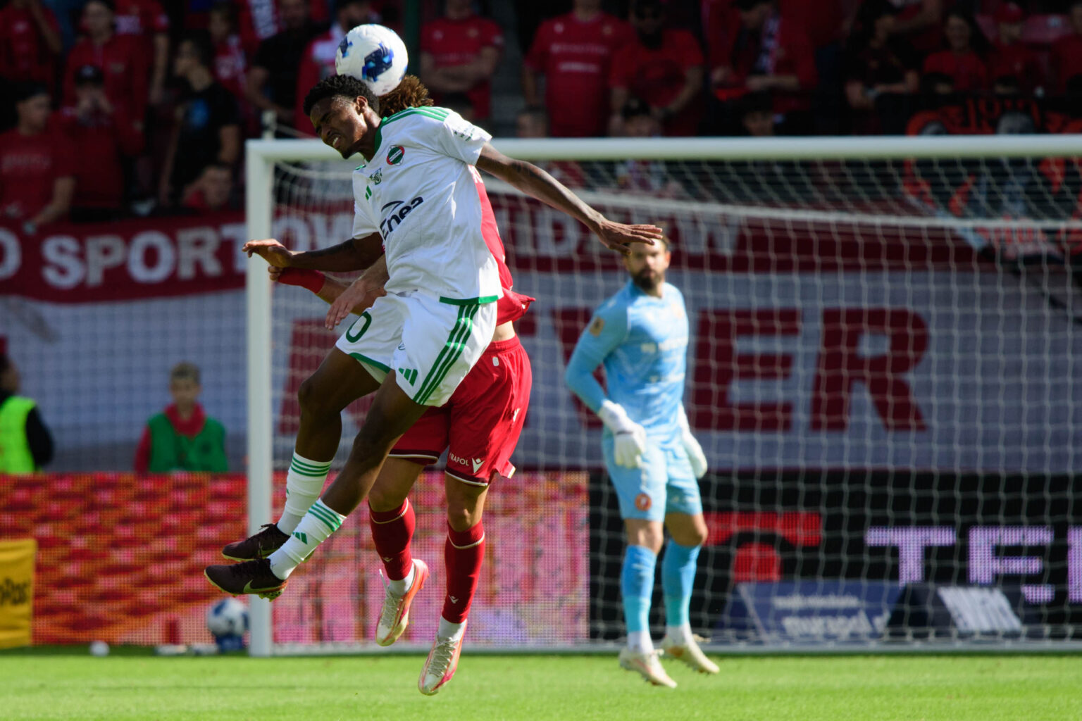 Widzew Łódź vs Radomiak Radom fot Sebastian Szwajkowski_12 Widzew Lodz vs Radomiak Radom fot Sebastian Szwajkowski 12