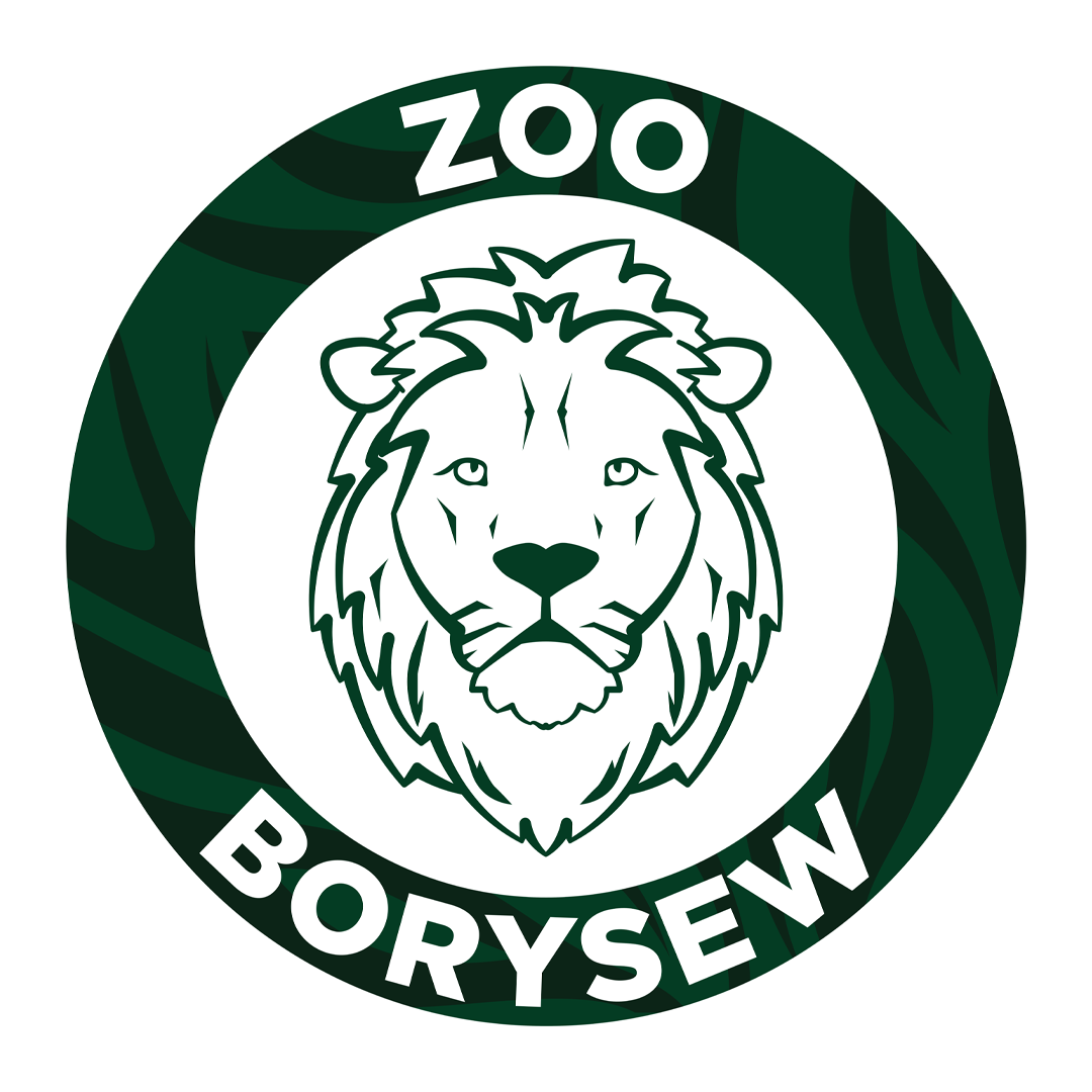 ZOO chor