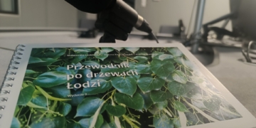 Przewodnik po drzewach Łodzi