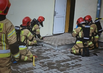 Robot-pies i inteligentny monitoring. Łódź testuje technologie dla szkół