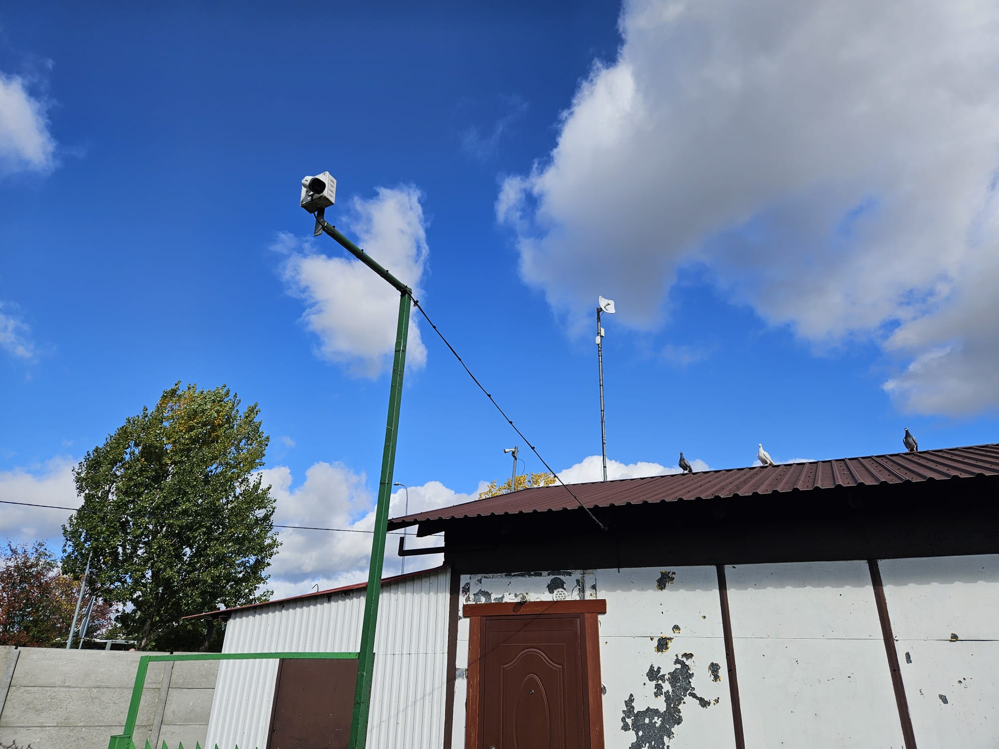 Złodzieje plądrują ogródki działkowe w Kutnie. Działkowcy apelują o monitoring